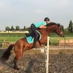 Nelson Emmickhoven's - @nelson_welsh - Instagram