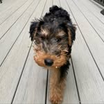 Nelson Zacian Christensen - @nelsonthewelshman - Instagram