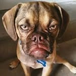Nelson Wen - @nelson.wen - Instagram
