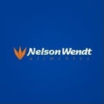 Nelson Wendt - @nelsonwendt - Instagram