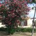 Nelson Werner - Facebook