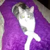 Thomas Nelson Wilcox - @thomas.nelson.wil - TikTok