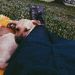 Nelson Wild - @nelson.wild - Instagram