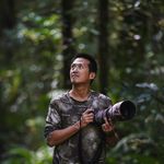 Nelson Wong - @nelson.wild.borneo - Instagram