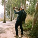 Nelson Wong - @nelsonwong_wildlifephotography - Instagram