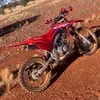Nelson Willis - @nelson.willis - TikTok