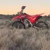 Nelson Willis 🇦🇺 - @nelson_willis2735463722 - TikTok