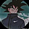 Nelson Winterstein - @nelson.winterstei - TikTok