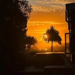 Nelson Wright - @nelson_wright7 - Instagram
