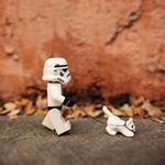 Nelson Yip - @nelyiphf - Instagram