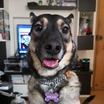 Nelson Yip - @nelnel129 - Instagram