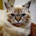 Nelson Yip - Facebook