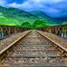 Nelum Wickramasinghe - Facebook