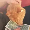 Nelva Lopez - @nelva.lopez8 - TikTok