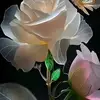 nelvalopez - @nelvalopez31 - TikTok