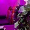 Nelvalopez🧚‍♀️ - @nelva_lopez_29 - TikTok