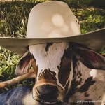 Nelvin Reyes - @nelvinreyes610 - Instagram