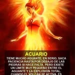 Nely Amaró - @nely.amaro.756 - Instagram