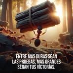 Nely Jimenez - Facebook