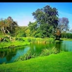 Nema Ibrahim - Facebook