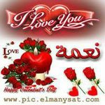 Nema Ibrahim - @nemaibrahim70 - Instagram