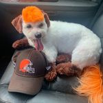 Nemo Brown King - @nemo.brownfan - Instagram