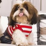 nemo - @nemo.shitzo - Instagram