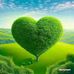 Shiko Naomi - Facebook
