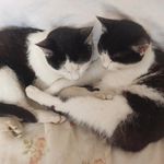 Nenad Maric - @nenad.maric76 - Instagram