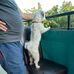 Nenad Maric - Facebook