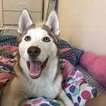 Neo Martinez - @neo.kins - Instagram