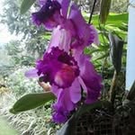 Nereida Borges - @borgesnereida - Instagram