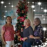 Nereida Castillo - @nereida8639 - Instagram
