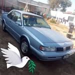 Nereo Hernández - @nereo.hernandez.165470 - Instagram