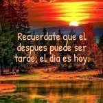 Nereo Hernandez - @jonehecruz - Instagram