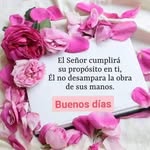 Neris Blanco - @blanco.neris - Instagram