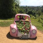 Nerissa Lim - @ner_lim - Instagram