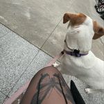 N - @nerissa_perezc - Instagram