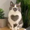 Ć⭕Fℹ - @nerminbegic1 - TikTok