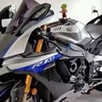Nermin Begic - @begic54 - Instagram