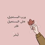 Nermin Harby - @nerminharby - Instagram