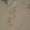 Nermin Saad - @nerminsaad3 - TikTok