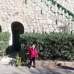 Nermin Saad Din - @nerminsaaddin - Instagram