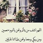 Nermin Soliman - @nermin.soliman - Instagram