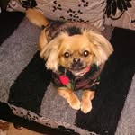 Nermina Ramic - @neryramic99 - Instagram