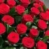 S Sadmil Nermina Ramic - @s.sadmil.nermina - TikTok