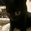 Cooper_Study_Nero - @cooper_study_nero - TikTok