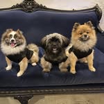 MaviNeroCooper - @mavi_nero_cooper - Instagram