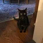 Nero Cooper - Facebook