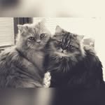 Nero&Cooper - @_necoop - Instagram
